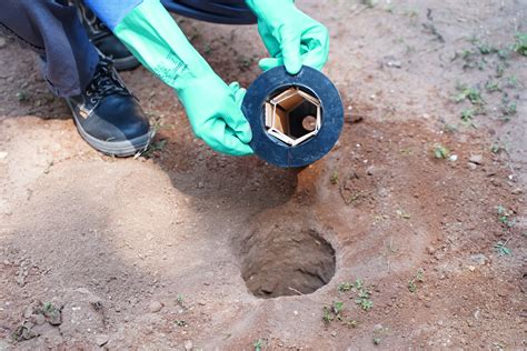 Innovative Termite Control Method | Rentokil PCI