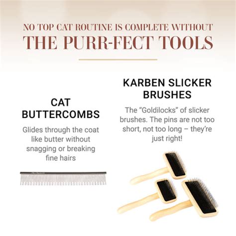 How to Use Top Cat Grooming Products by Chirs Christensen – Showgroom