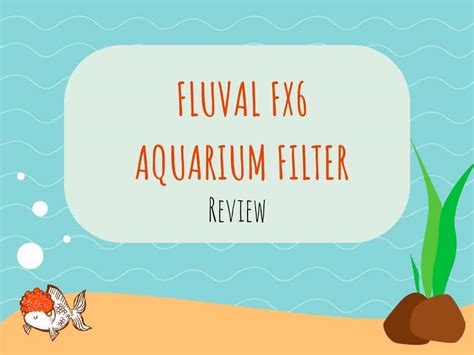 Fluval FX6 Review 的图像结果