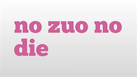 no zuo no die meaning and pronunciation