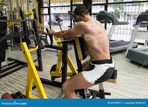 Image result for Seated Back Workout Machine