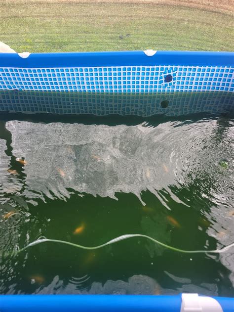 Aquaculture 的图像结果