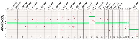 Dynamic Features of Chromosomal Instability during Culture of Induced ...
