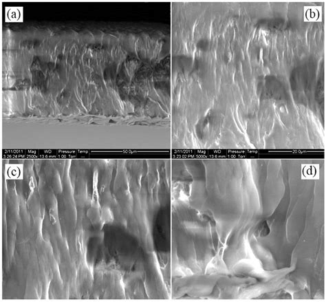 Rapid Biogas Production by Compact Multi-Layer Membrane Bioreactor ...