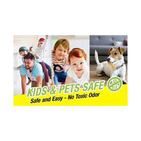 How to Make a Cockroach Trap 的图像结果