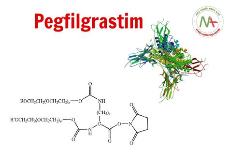 Pegfilgrastim Administration 的图像结果
