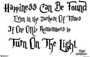WB Official Licensed Harry Potter Albus Dumbledore Happiness Can Be ...