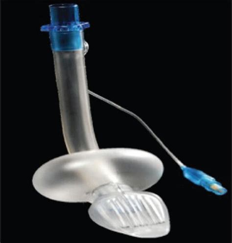 Image result for Patient Bad Example