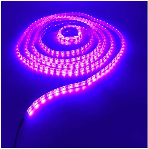 LED Purple Color 的图像结果