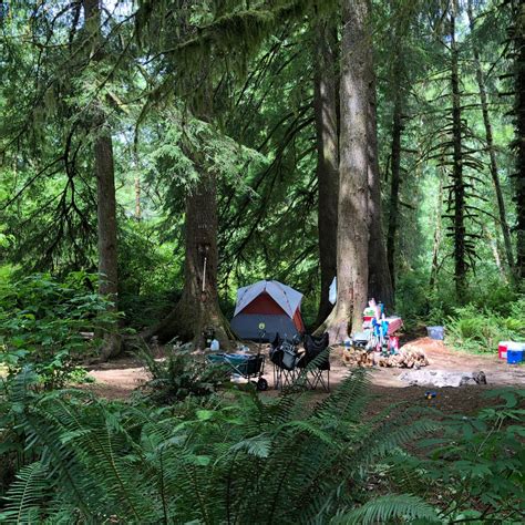 Tillamook Forest Dispersed on the Nehalem River Camping | The Dyrt