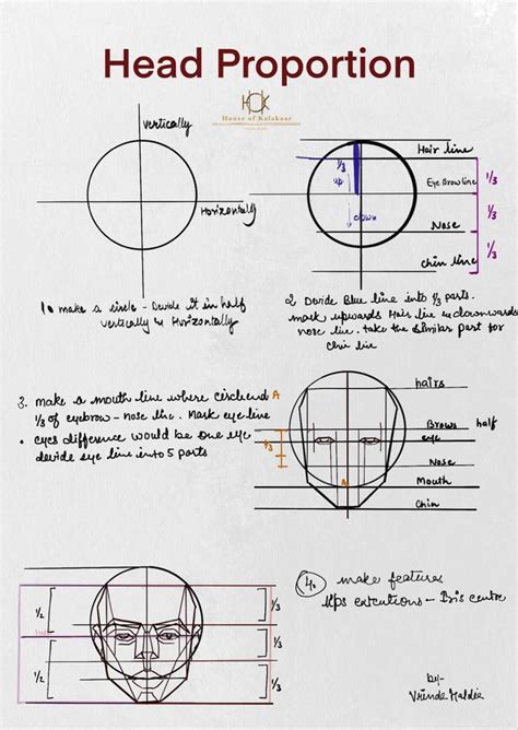 Image result for Face Proportion Tutorial