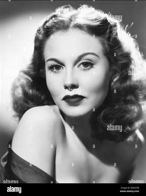 Hazel court hi-res stock photography and images - Alamy