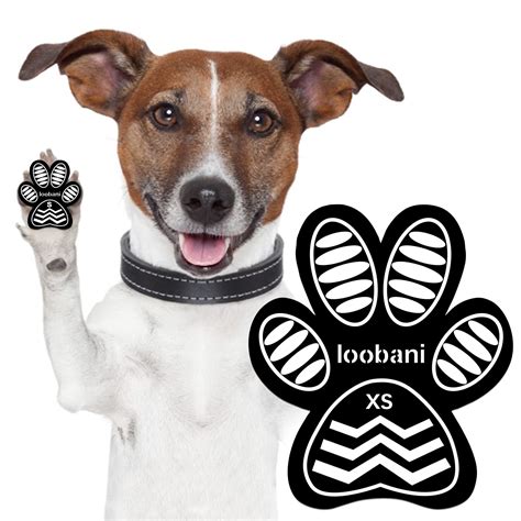 Why Is My Dog Slipping On Tile Floor