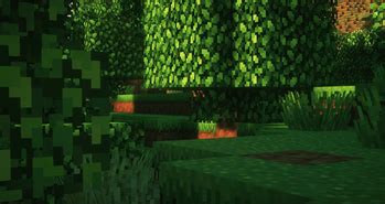 Image result for Action and Forms in Java Program