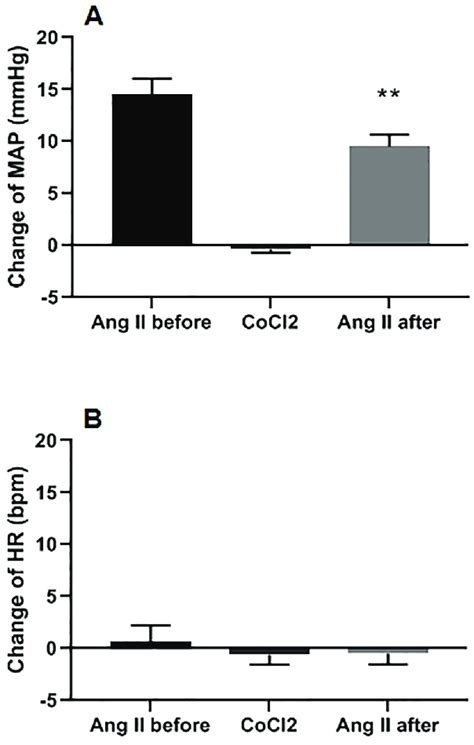 High Map 的图像结果