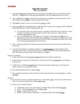 Digestive System Crash Course 的图像结果