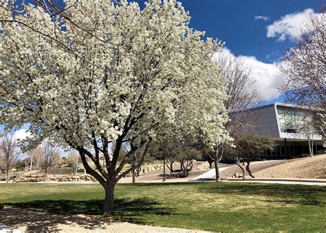 Image result for Embry-Riddle Prescott AZ