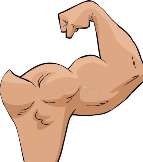 Image result for Classification of Polymers