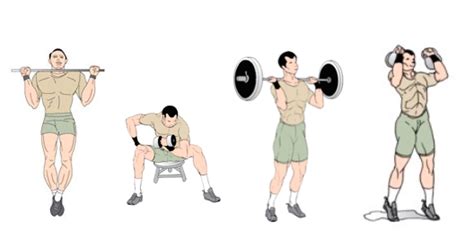 Muscle Building Workout 的图像结果