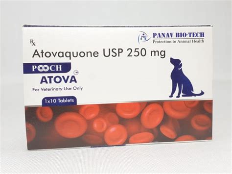 Panav Biotech Pooch Atova Atovaquone USP 250mg