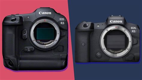 Canon EOS R3 vs EOS R5 的图像结果