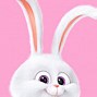 Image result for Cute Pink Bunnies