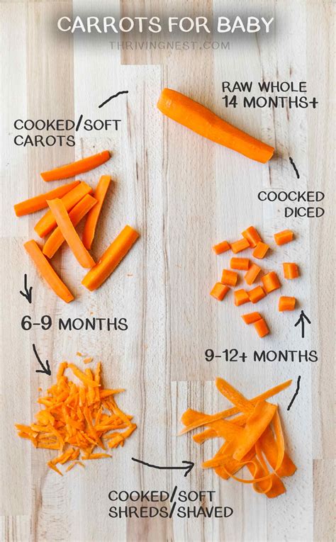 Preparing Carrots For Baby Led Weaning at Patrick Jefferson blog
