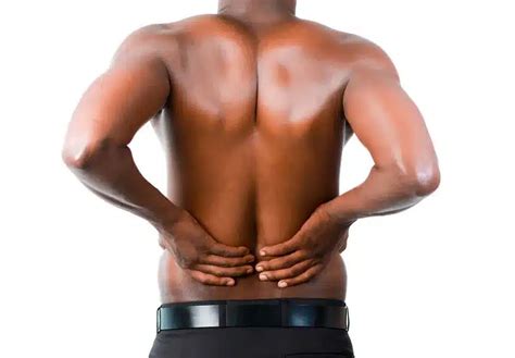 Image result for Back Pull Machine