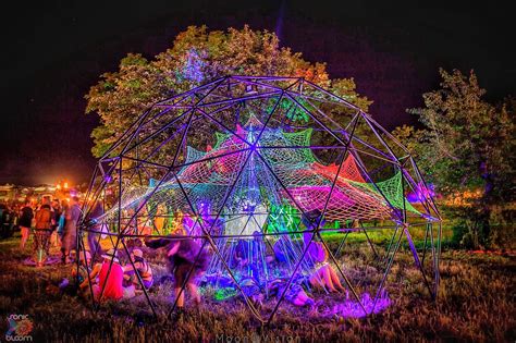 Tree Net 的图像结果