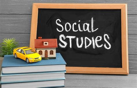 Expert Root – Online & Offline Tutoring for Academics, STEM, Arts & More