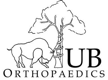 Alumnus Encourages Students To Focus on Joy in Medicine - Office of the ...