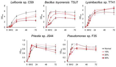 Metabolomics Reveals Lysinibacillus capsici TT41-Induced Metabolic ...