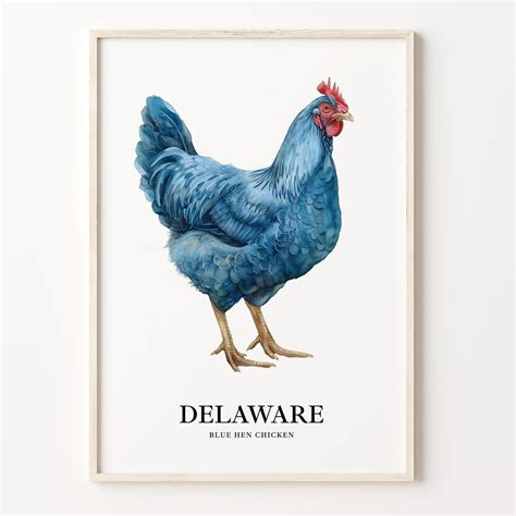 Delaware State Bird & Flower Art Print, Delaware Wall Art, Home Decor ...