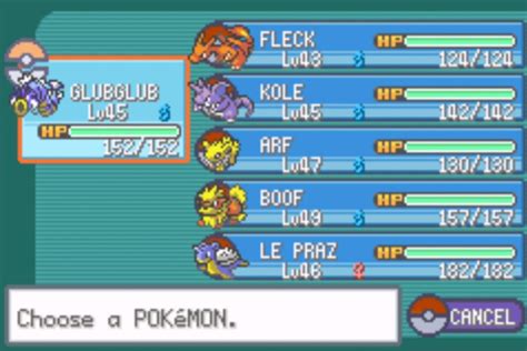 Image result for Fire Red How to Level Up Fast through Training