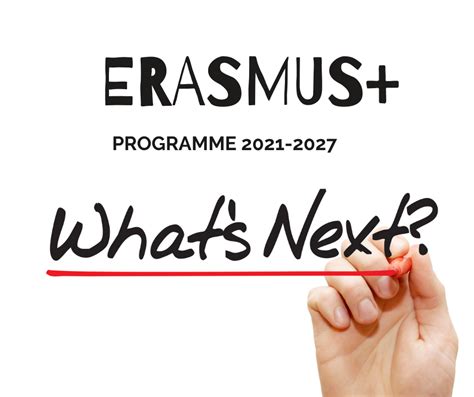 Erasmus Guide 的图像结果