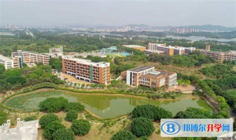东莞市翰林实验学校2021年中学部高中教师招聘公告_东莞阳光网