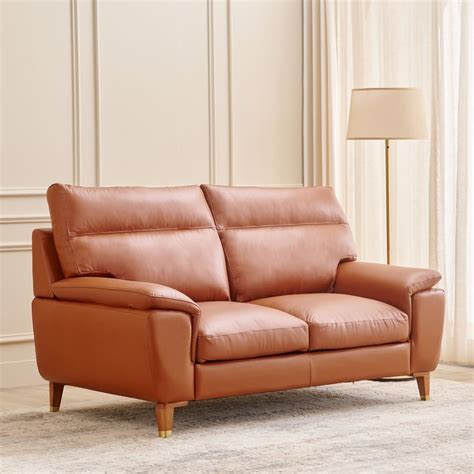 Buy Aprilla NXT Half Leather 2-Seater Sofa - Tan from Home Centre at ...