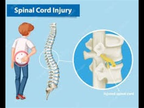 Asia Sci 的图像结果