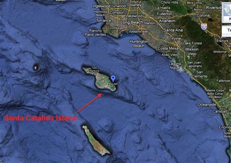 Image result for Axolotl Drawing Tutorial