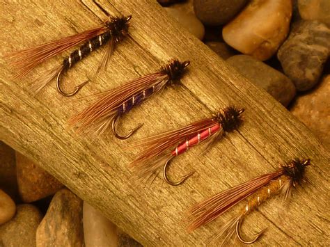 Image result for Trout Fly Patterns Free