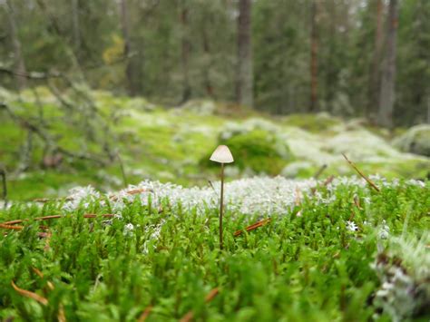 Photography Fieldwork of People 的图像结果