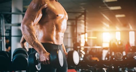 Image result for Periodization Model Examples