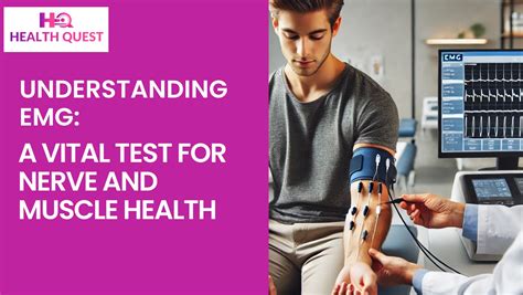 Image result for EMG Muscle Test