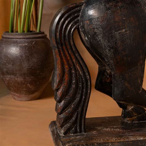 Peacock Life by Shabnam Gupta