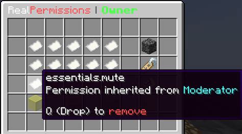 Image result for How to Give Permissions in Minecraft Java Realm