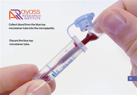 Transcriptome Procedure 的图像结果