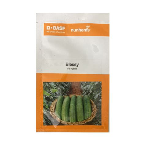 Blessy Cucumber Seeds - Nunhems | F1 Hybrid | Buy Online at Best Price ...
