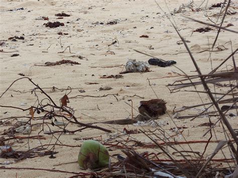 Index of /wp-gpd-content/uploads/2016/07