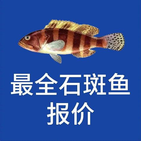 鱼价分歧！部分市场涨2元/斤，但湛江流通受阻，鱼价下滑…|2022年5月12日石斑鱼报价_地区_价格_影响