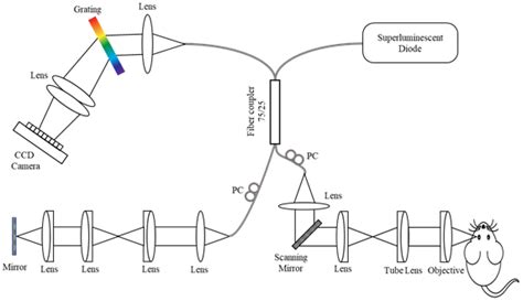 Quantitative Optical Coherence Tomography for Longitudinal Monitoring ...